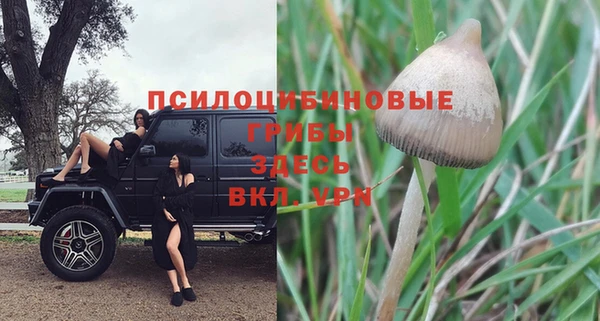 бошки Балахна