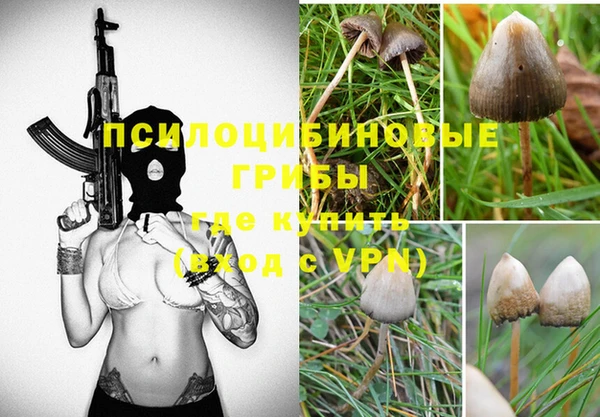 гашик Армянск